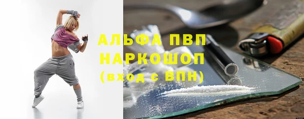 ПСИЛОЦИБИНОВЫЕ ГРИБЫ Гусь-Хрустальный