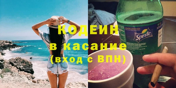 ПСИЛОЦИБИНОВЫЕ ГРИБЫ Гусь-Хрустальный