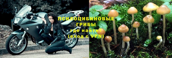 тгк Тутаев