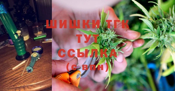 соль ск Горняк